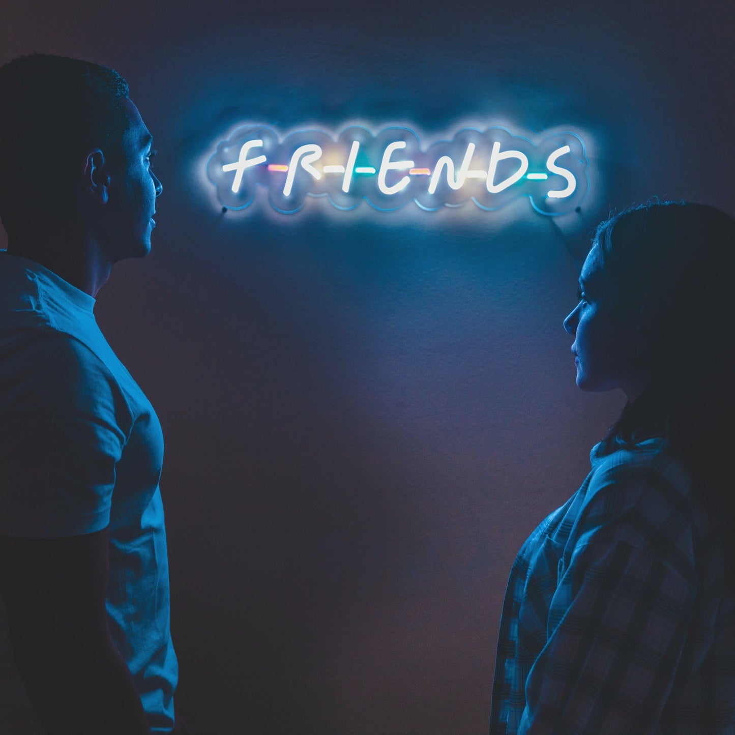Friends Neon Sign
