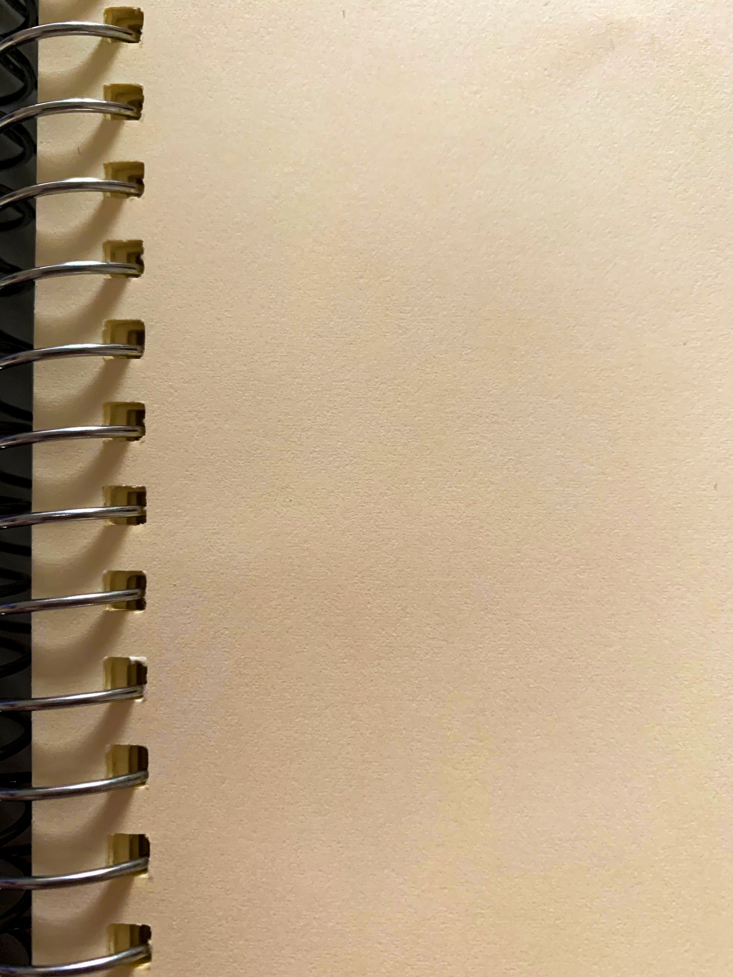 Rick Morty Eye Notebook