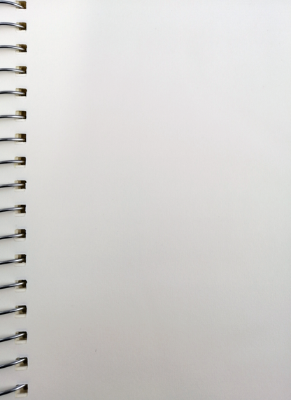 Mike Wazowski  Notebook