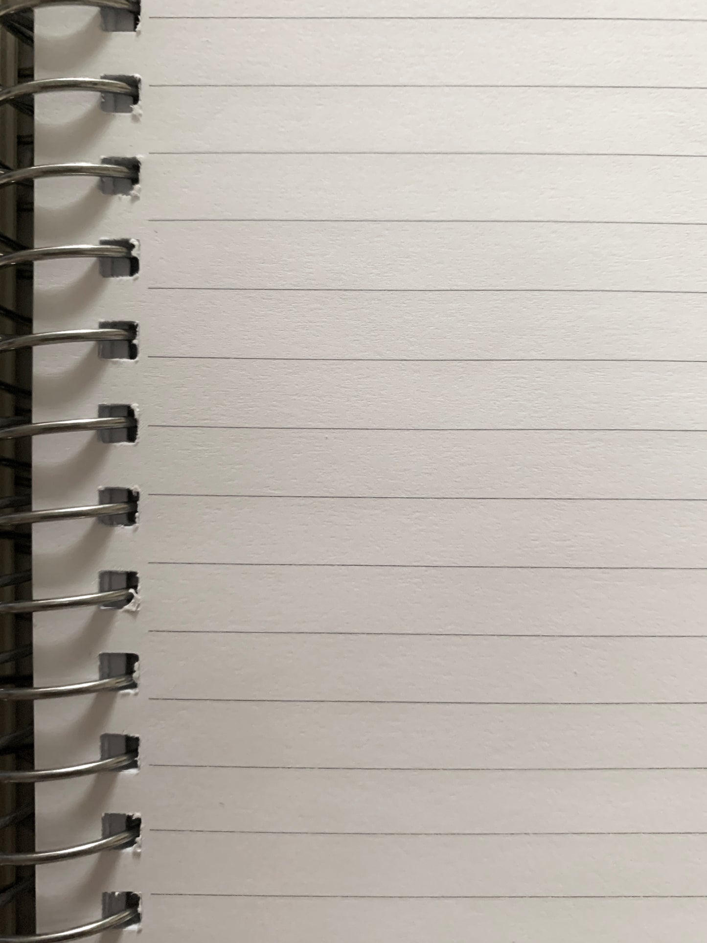 What A Feminist Looks Like  Notebook